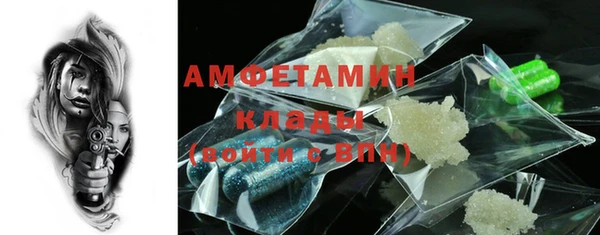 прущие грибы Алапаевск