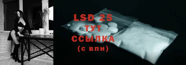 прущие грибы Алапаевск