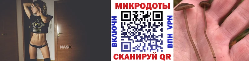 KRAKEN ссылка  Берёзовка  Псилоцибиновые грибы MAGIC MUSHROOMS 