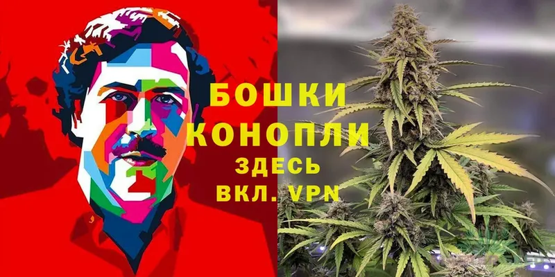 Каннабис THC 21%  МЕГА ССЫЛКА  Берёзовка  как найти закладки 